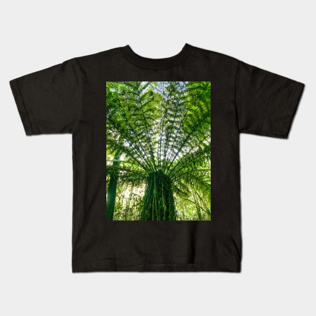 Tree Fern Kids T-Shirt by Upbeat Traveler